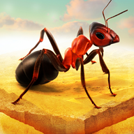 蚂蚁进化