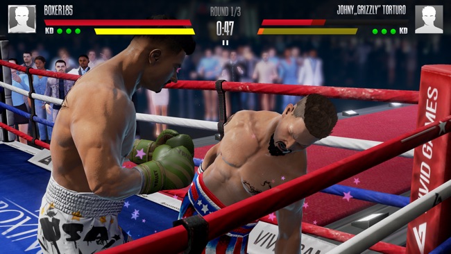 Real Boxing 2