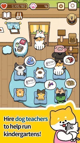 Cat Kindergarten