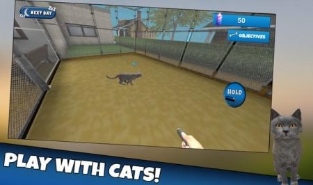 猫舍模拟器3DCat Shelter Simulator 3D