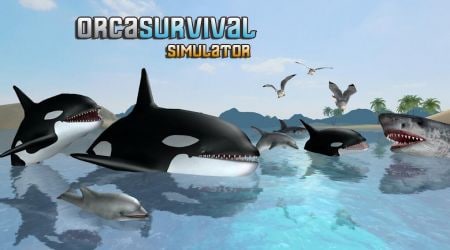 鲸鱼生存模拟器Orca Survival Simulator