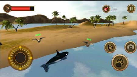 鲸鱼生存模拟器Orca Survival Simulator