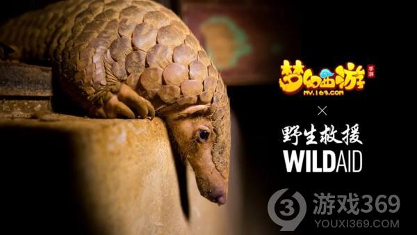 《梦幻西游》手游携手WildAid打造野生动物保护新玩法