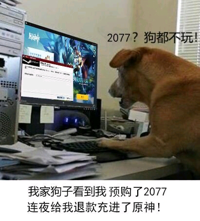 狗都不玩搞笑表情包梗图汇总