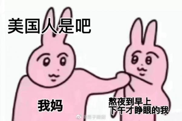粉红兔表情包汇总 粉红兔表情包合集
