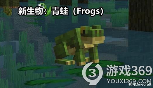 我的世界青蛙在哪 我的世界青蛙介绍 游戏369
