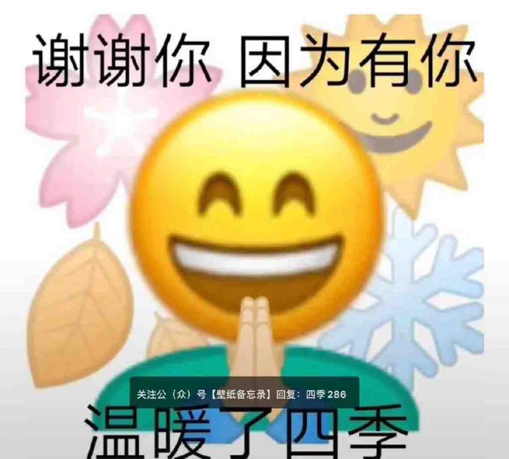 謝謝你因為有你溫暖了四季表情包因為有你溫暖了四季圖片