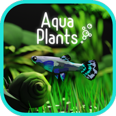 Aqua Plants