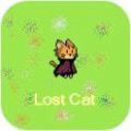 迷失猫LostCat
