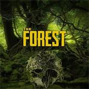 森林（The Forest）