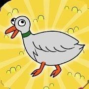 鸭子进化生活Duck