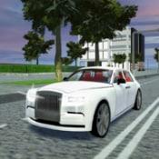 豪华停车模拟Luxury Car Parking Sim