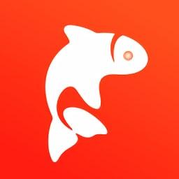 飞鱼优品app v1.3.7 安卓版