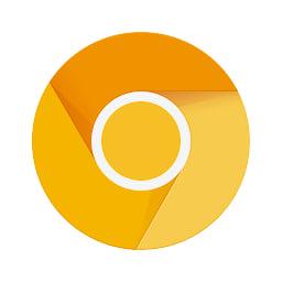 谷歌浏览器金丝雀版app(Chrome Canary) v110.0.5465.0 手机版