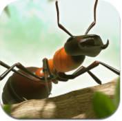 蚂蚁进化无敌版