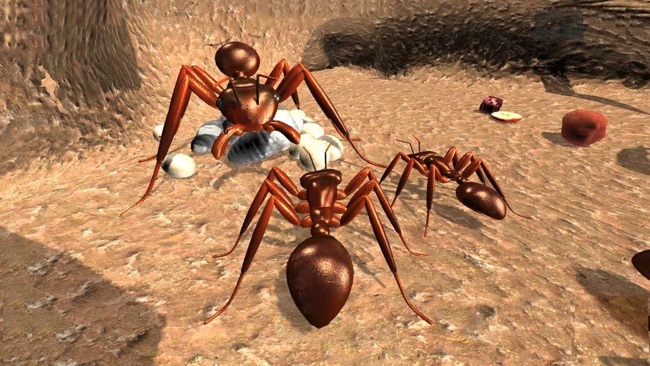 蚂蚁生存模拟器苹果版