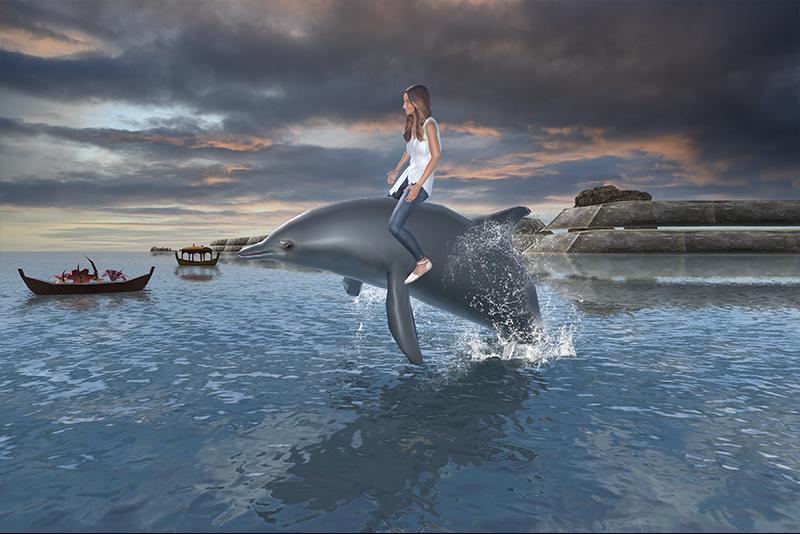 海豚运输乘客海滩出租车模拟器