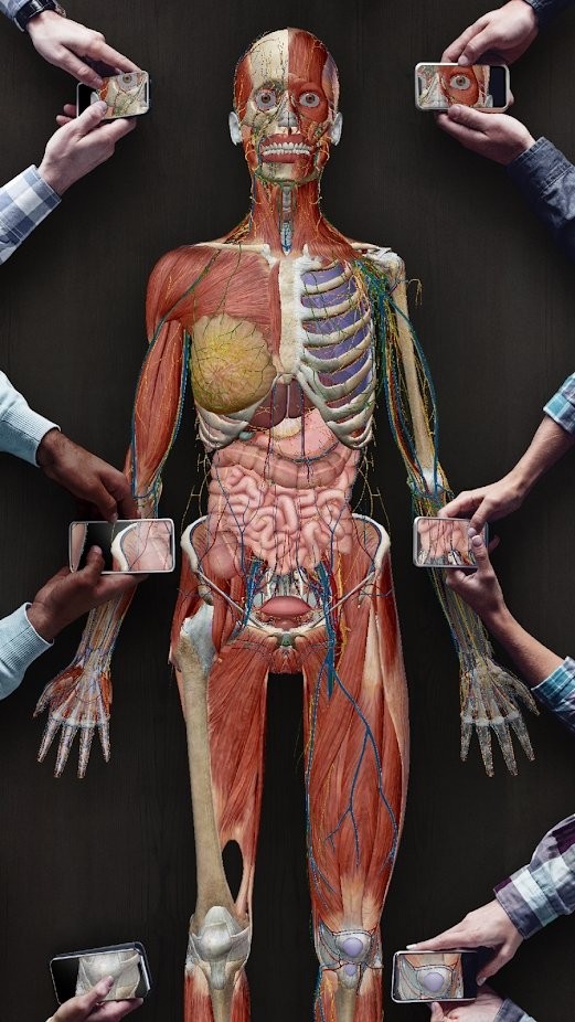 2021人体解剖学图谱安卓版