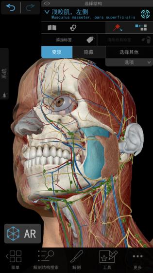 2021人体解剖学图谱安卓版