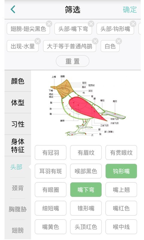 中国野鸟速查