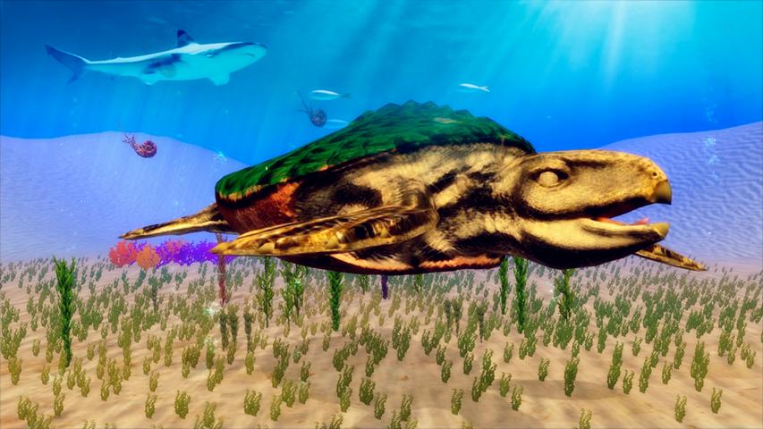 古海龟模拟器