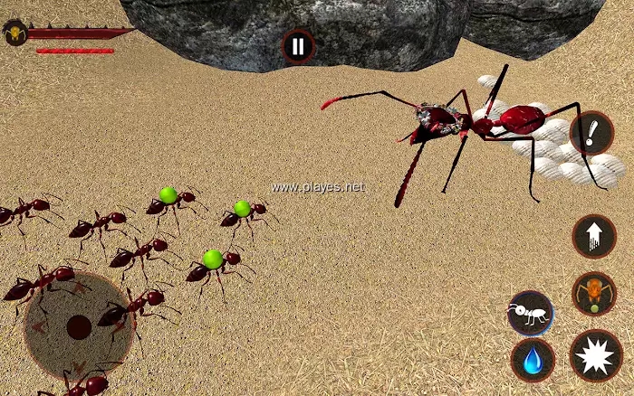 蚂蚁模拟器错误游戏