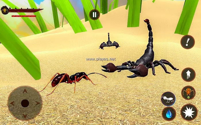 蚂蚁模拟器错误游戏