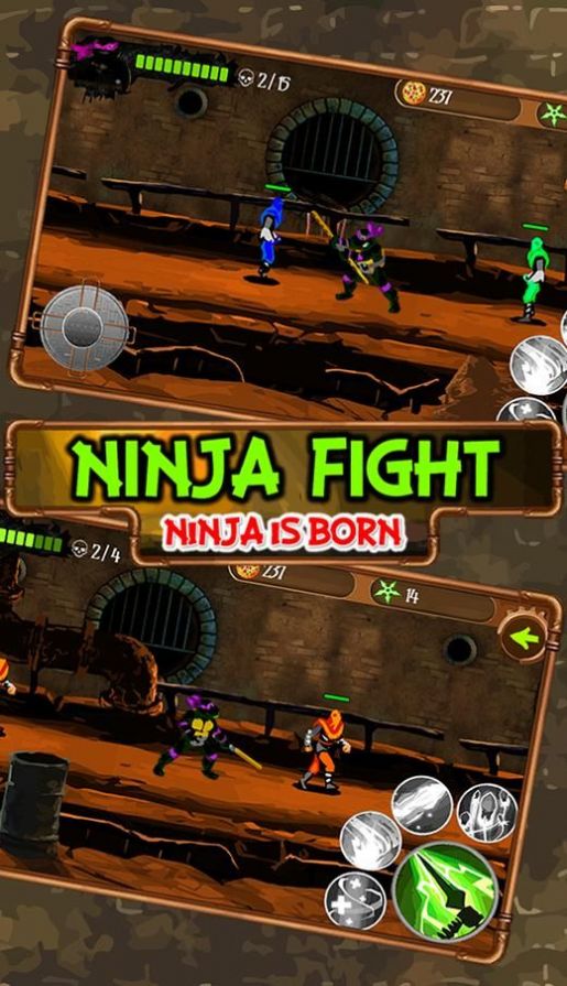 Turtle Fight Ninja is Born
