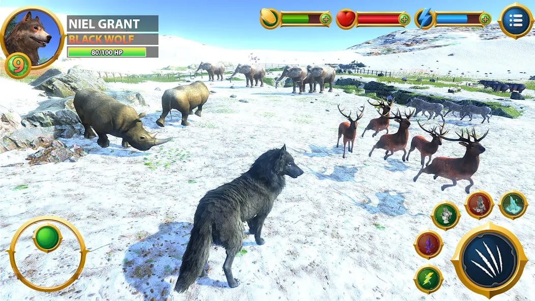 虚拟北极狼家庭模拟器