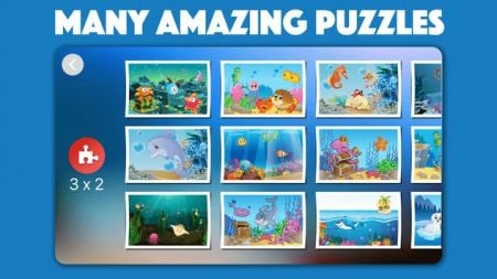 鱼类拼图Fish Puzzle