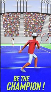 网球热3DTennis Fever 3D