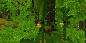 迷你世界香蕉树位置介绍