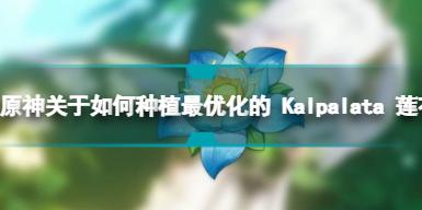 原神关于如何种植最优化的 Kalpalata 莲花以突破 Nahida 的攻略
