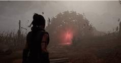 《地狱之刃2》画面细节出色，外媒称30帧流畅度尚可